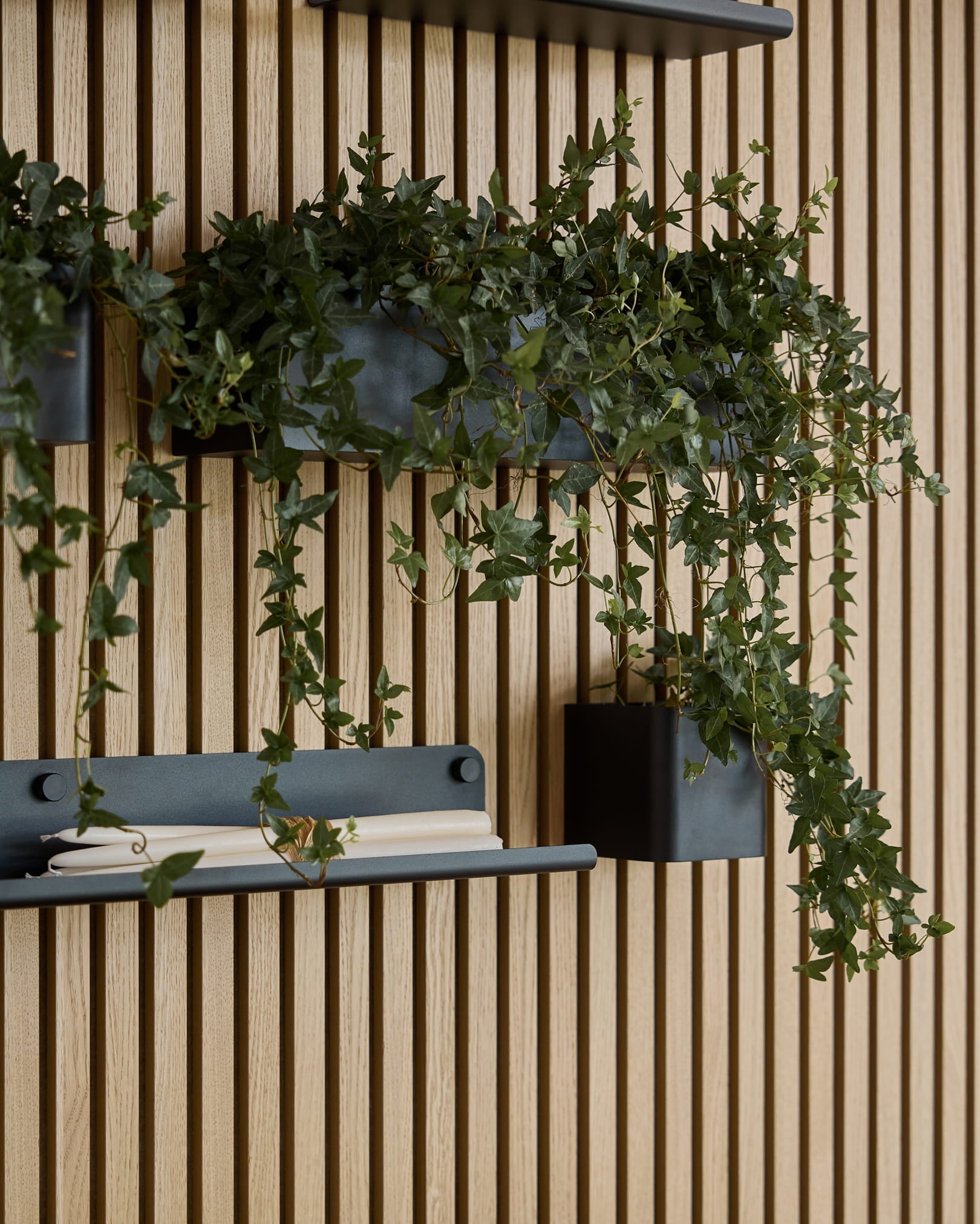 Trailing green ivy in a black WoodUpp Norr Plant Box (47.9 cm) is mounted on a WoodUpp Akupanel slatwall panel above a shelf with a rolled white towel.